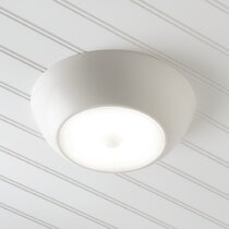 Dusk to dawn outdoor shop ceiling light